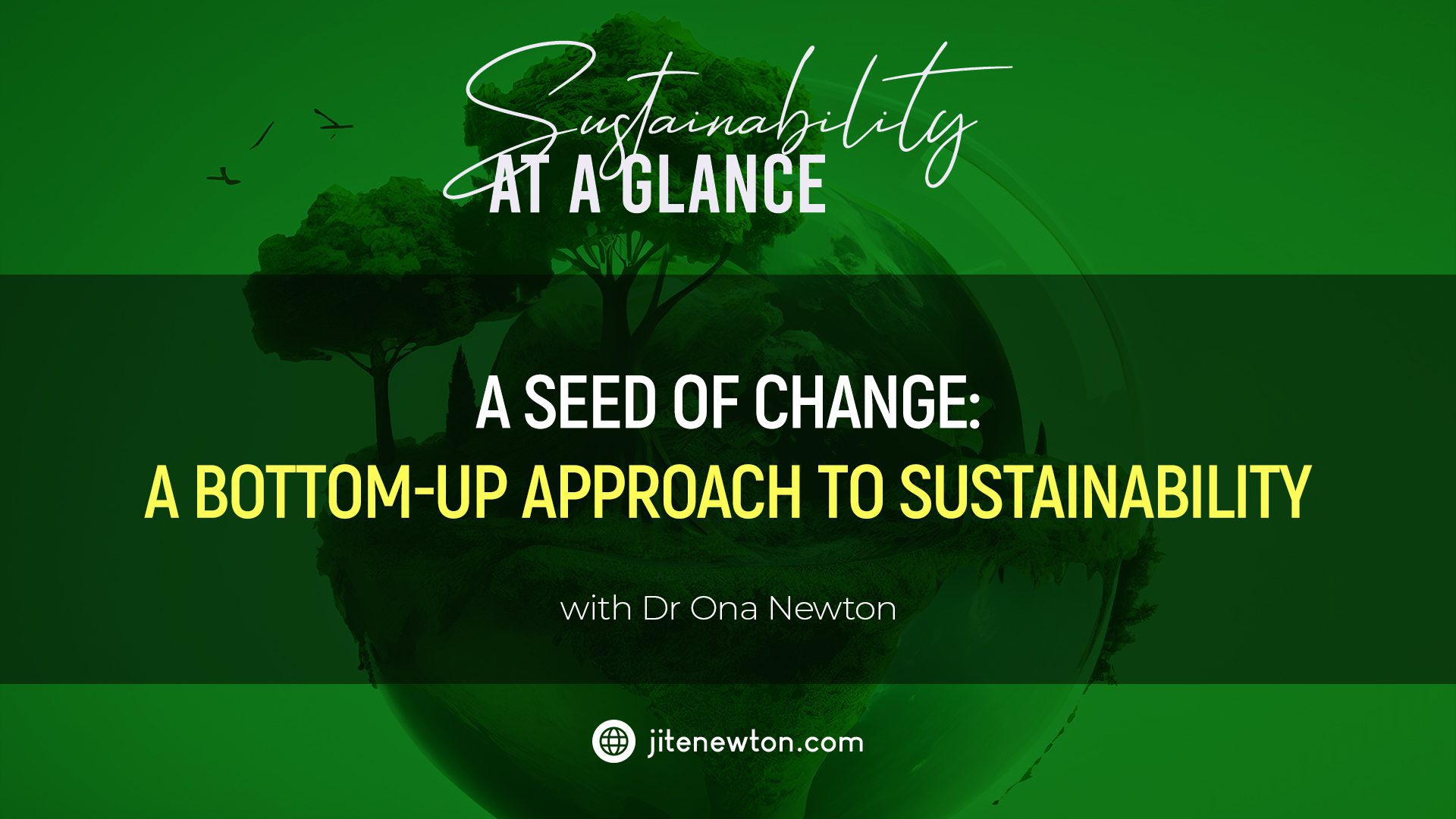 A Seed of Change: A Bottom-up Approach to Sustainability